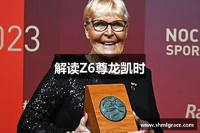 解读Z6尊龙凯时